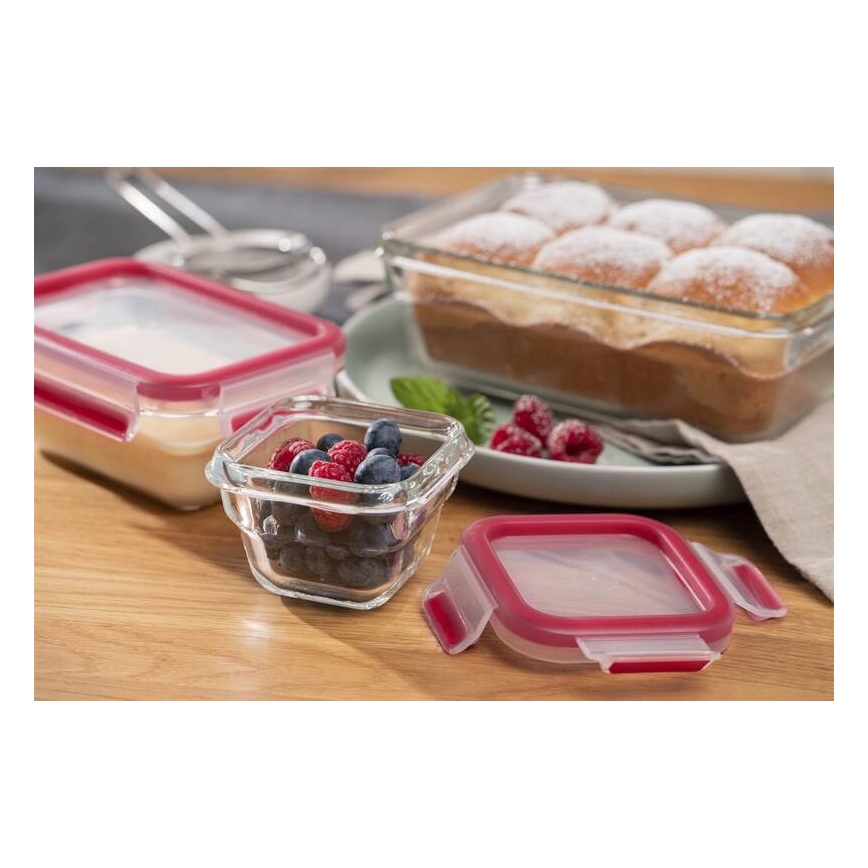 Tefal - Recipiente de comida 0,45 l MSEAL GLASS rojo/tarros