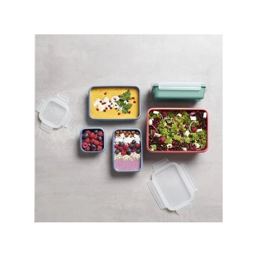 Tefal - Recipiente de comida 0,55 l MSEAL COLOR rosa