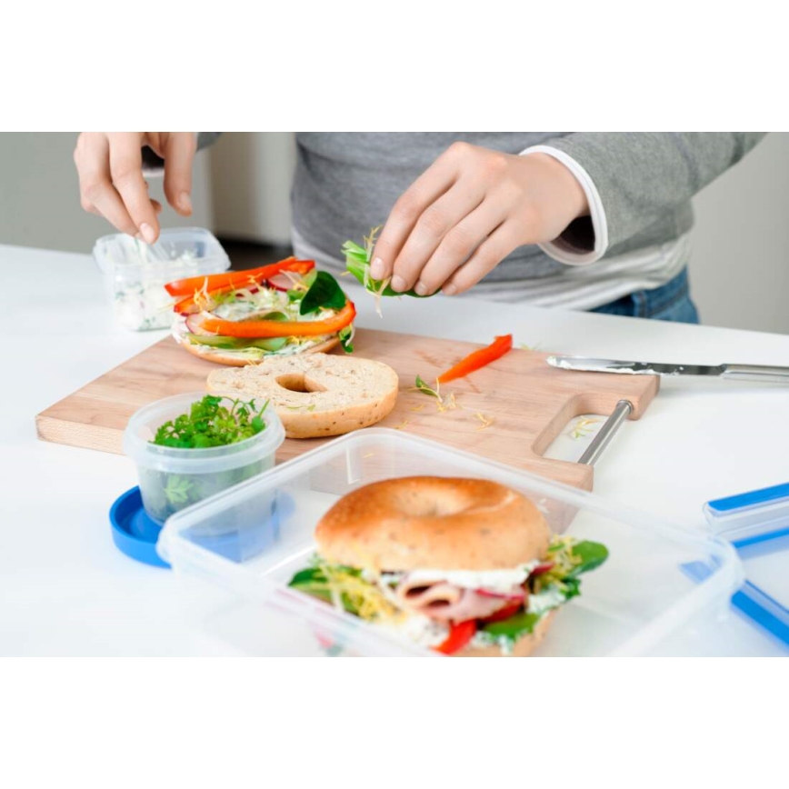 Tefal - Recipiente de comida 3,7 l MASTER SEAL FRESH azul