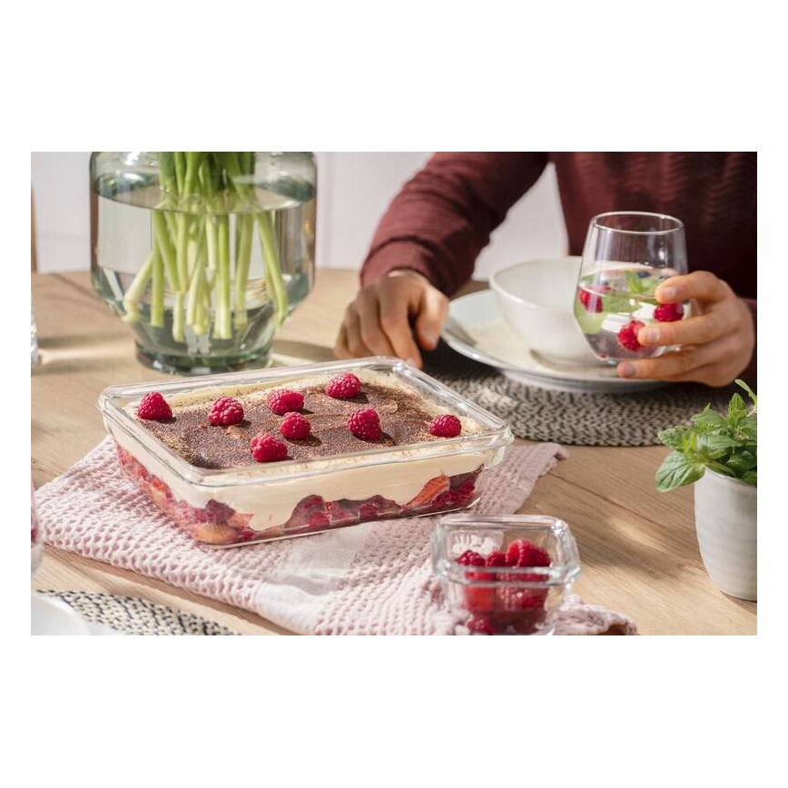 Tefal - Recipiente de comida 3 l MSEAL GLASS rojo/tarros
