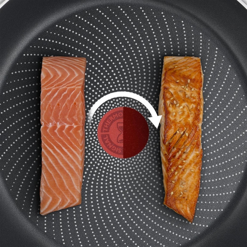 Tefal - Sartén DELICIOUS 20 cm