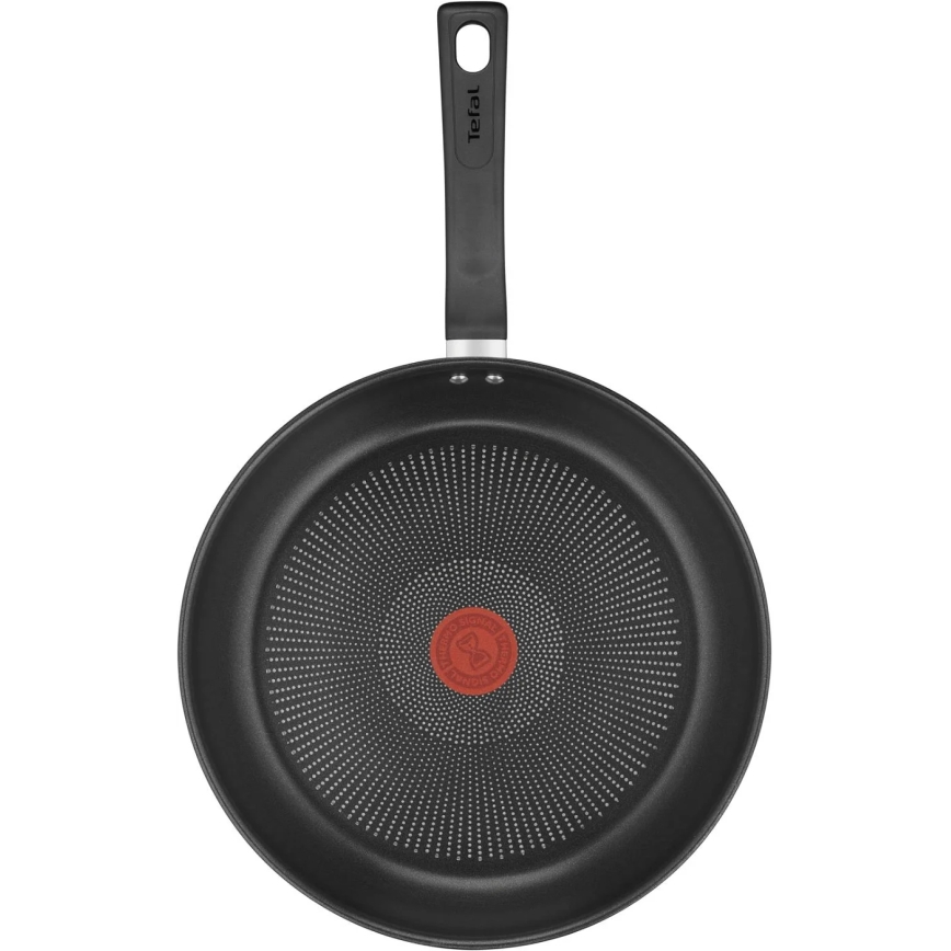 Tefal - Sartén DELICIOUS 24 cm