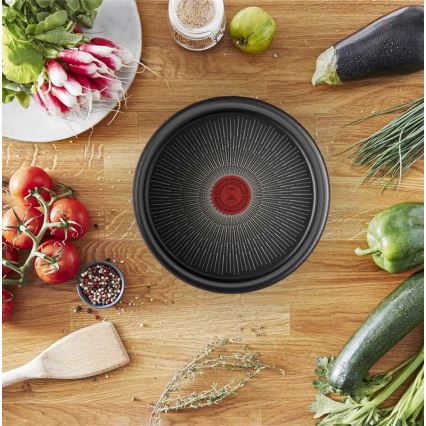 Tefal - Sartén INGENIO Unlimited 24 cm