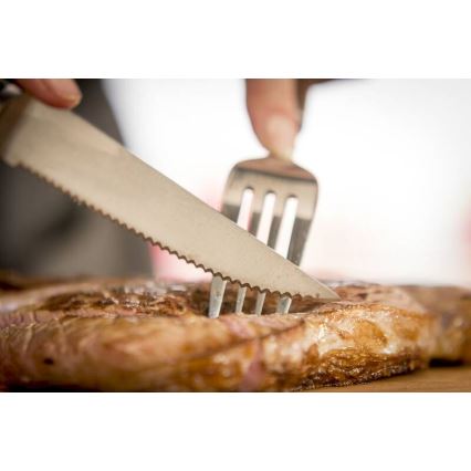Tefal - SET 4x Cuchillo para carne de acero inoxidable ICE FORCE 11 cm cromo brillante/negro