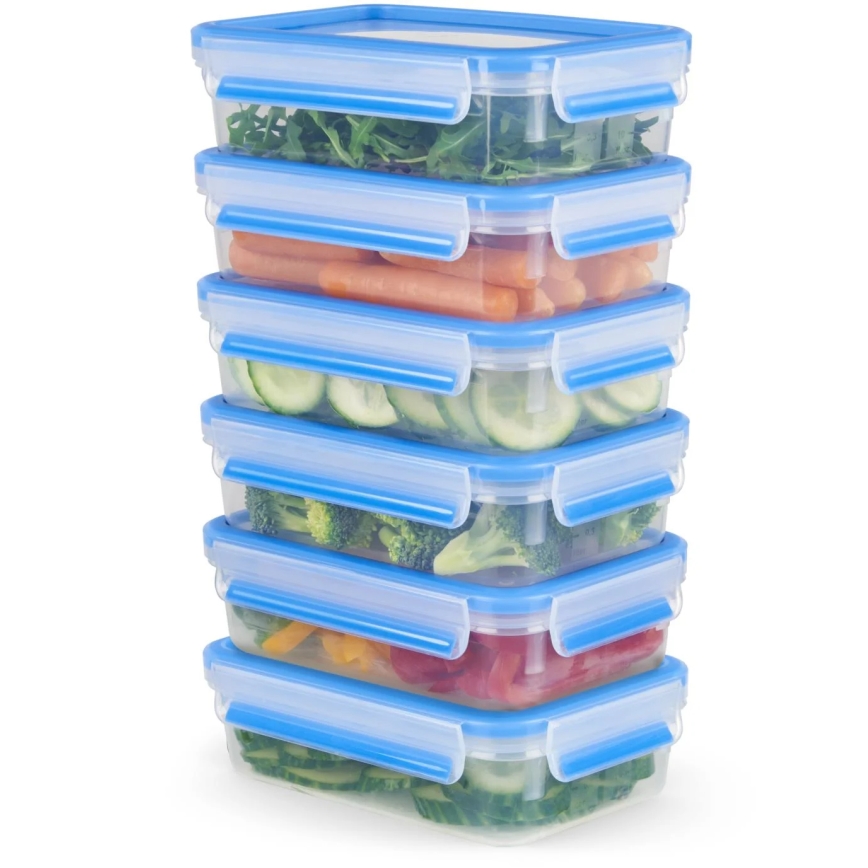 Tefal - SET 6x Recipiente de comida 0,8 l MASTER SEAL FRESH azul