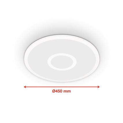 Telefunken 319306TF - LED RGBW Lámpara regulable LED/22W/230V 2700-6500K + control remoto