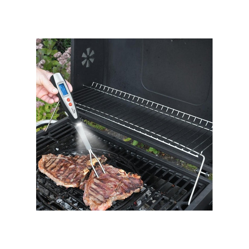 Termómetro digital para carne 0-100°C 2xAAA