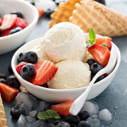 TESLA Electronics Gelato - Ice cream maker 30W/230V