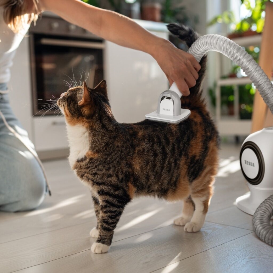 TESLA Electronics PetCare - Kit de aseo para mascotas 300W/230V