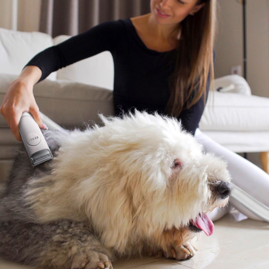 TESLA Electronics PetCare - Kit de aseo para mascotas 300W/230V