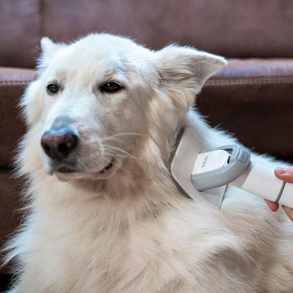 TESLA Electronics PetCare - Kit de aseo para mascotas 300W/230V