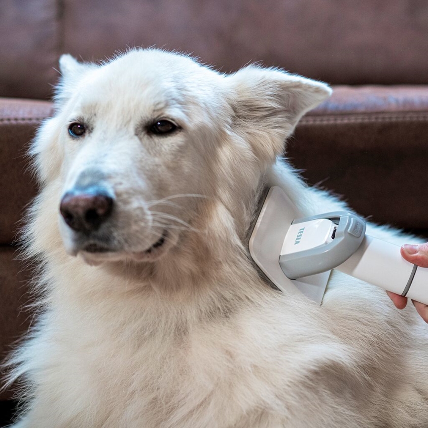 TESLA Electronics PetCare - Kit de aseo para mascotas 300W/230V