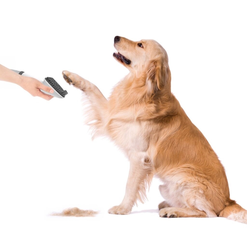 TESLA Electronics PetCare - Kit de aseo para mascotas 300W/230V