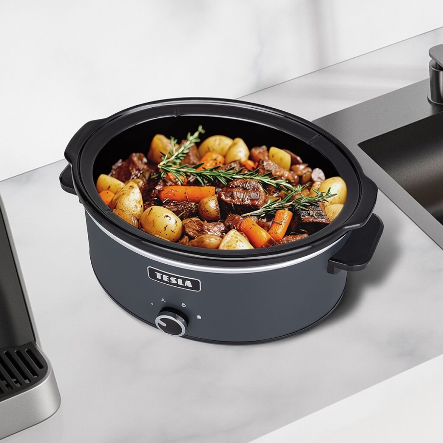 TESLA Electronics SlowCook - Olla de cocción lenta 6,5 l 270W/230V