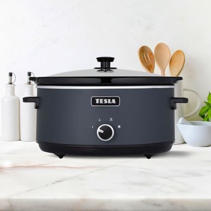 TESLA Electronics SlowCook - Olla de cocción lenta 6,5 l 270W/230V