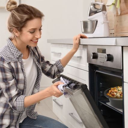 TESLA Electronics SlowCook - Olla de cocción lenta 6,5 l 270W/230V