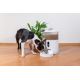 TESLA Inteligente - Alimentador automático inteligente con cámara para mascotas 4 l 5V/3xLR20 Wi-Fi