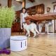 TESLA Smart - Fuente inteligente para mascotas con esterilización UV 2 l 5V Wi-Fi