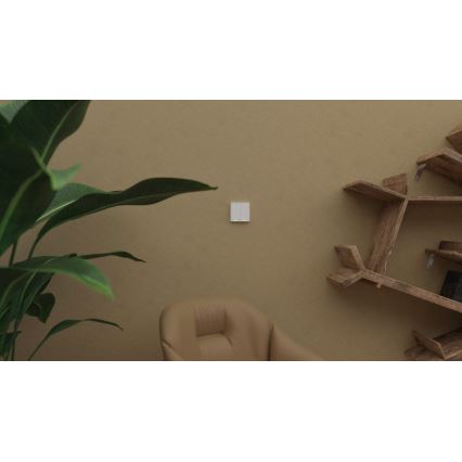 TESLA Smart - Interruptor inalámbrico inteligente para casas 2P 1xCR2430 ZigBee