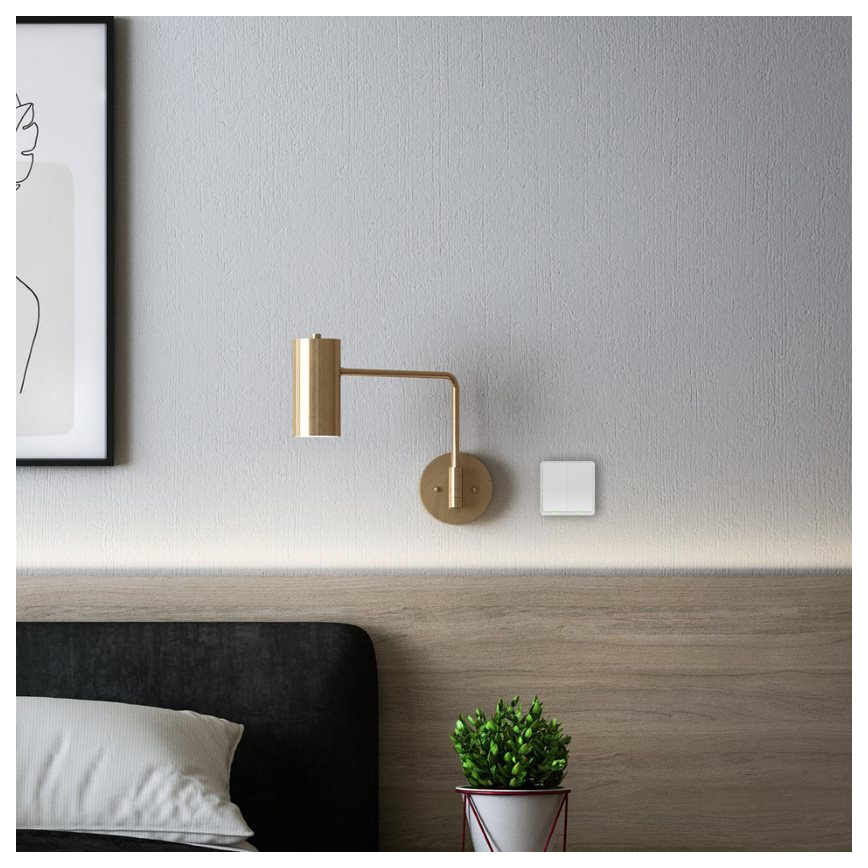 TESLA Smart - Interruptor inalámbrico inteligente para casas 2P 1xCR2430 ZigBee