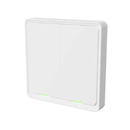 TESLA Smart - Interruptor inalámbrico inteligente para casas 2P 1xCR2430 ZigBee