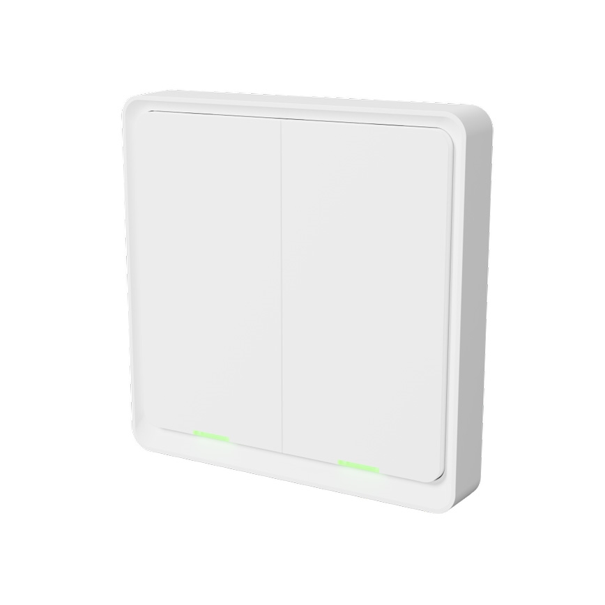 TESLA Smart - Interruptor inalámbrico inteligente para casas 2P 1xCR2430 ZigBee