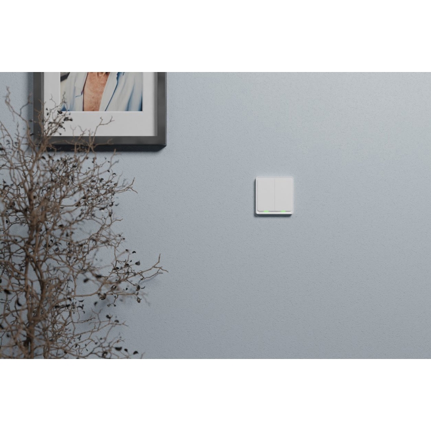 TESLA Smart - Interruptor residencial inteligente 2P 230V Zigbee
