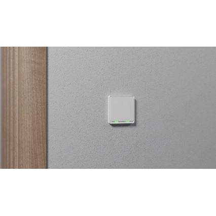 TESLA Smart - Interruptor residencial inteligente 2P 230V Zigbee