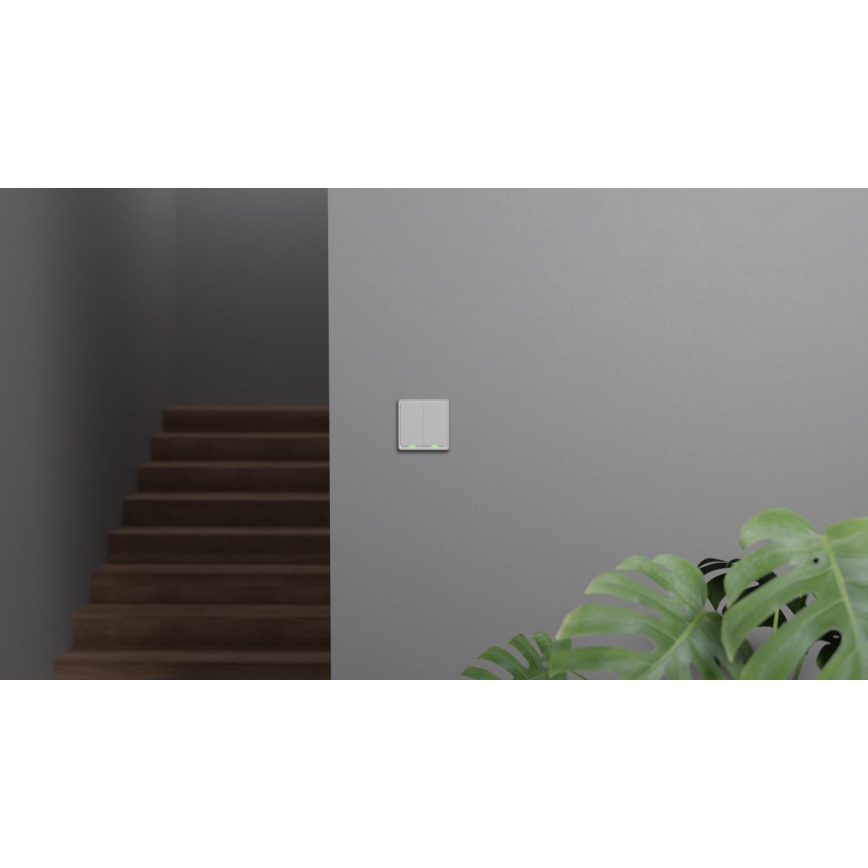 TESLA Smart - Interruptor residencial inteligente 2P 230V Zigbee