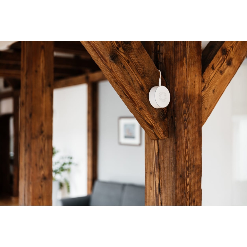 TESLA Smart - Sirena inteligente 12V Zigbee