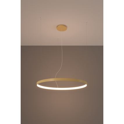 Thoro TH.174 - Lámpara LED colgante RIO LED/50W/230V CRI 90 3000K diá. 78 cm dorado