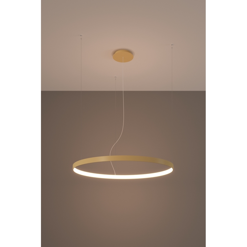 Thoro TH.174 - Lámpara LED colgante RIO LED/50W/230V CRI 90 3000K diá. 78 cm dorado