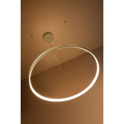 Thoro TH.174 - Lámpara LED colgante RIO LED/50W/230V CRI 90 3000K diá. 78 cm dorado