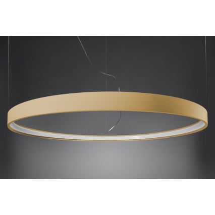 Thoro TH.174 - Lámpara LED colgante RIO LED/50W/230V CRI90 3000K diá. 78 cm dorado