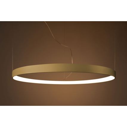 Thoro TH.174 - Lámpara LED colgante RIO LED/50W/230V CRI 90 3000K diá. 78 cm dorado