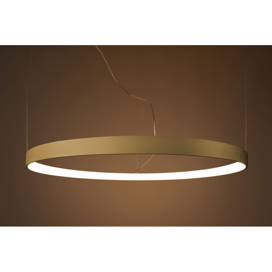 Thoro TH.174 - Lámpara LED colgante RIO LED/50W/230V CRI 90 3000K diá. 78 cm dorado