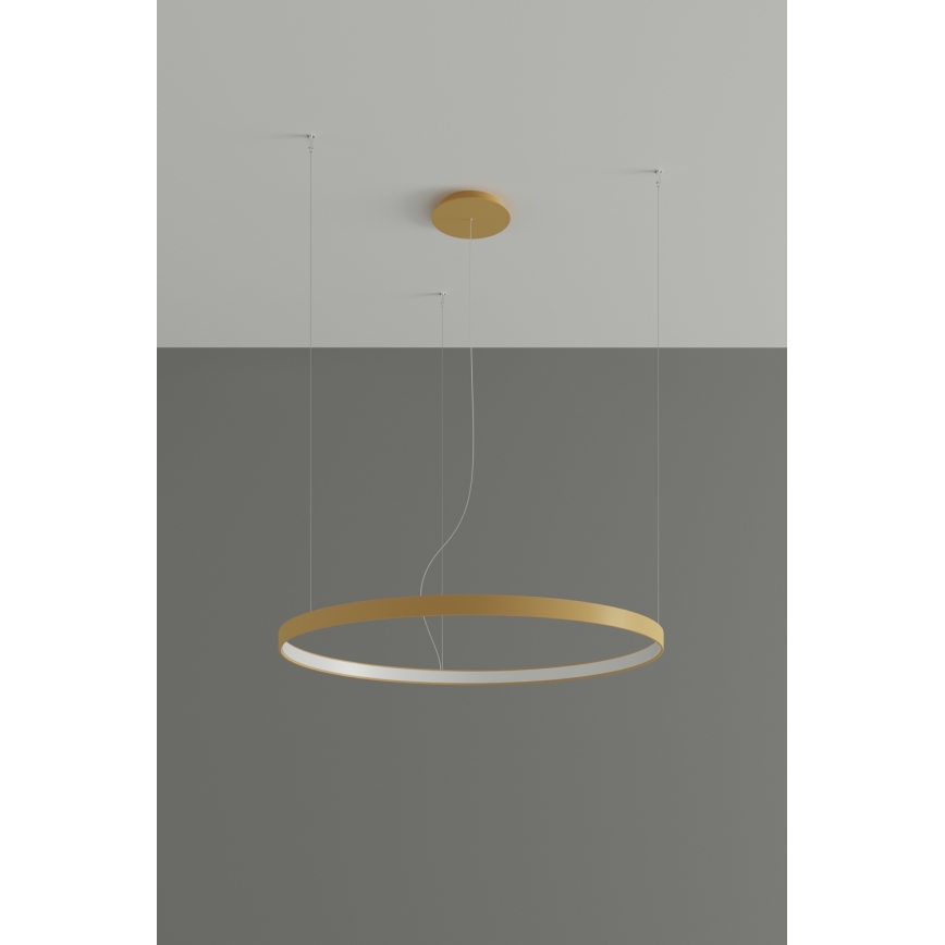 Thoro TH.181 - LED  Lámpara colgante RIO LED /50W/230V CRI 95 4000K diá. 78 cm dorado
