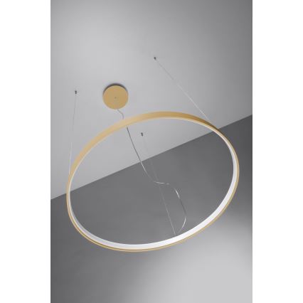Thoro TH.181 - LED  Lámpara colgante RIO LED /50W/230V CRI 95 4000K diá. 78 cm dorado