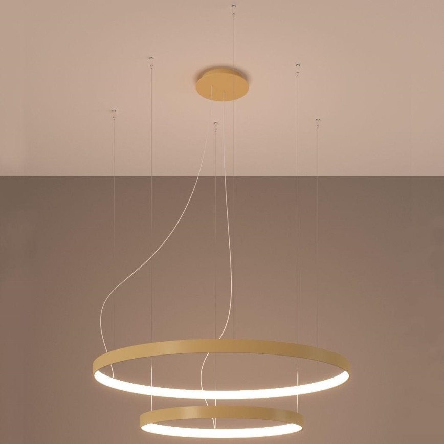 Thoro TH.214 - Lámpara LED colgante RIO LED/80W/230V CRI 90 3000K dorado
