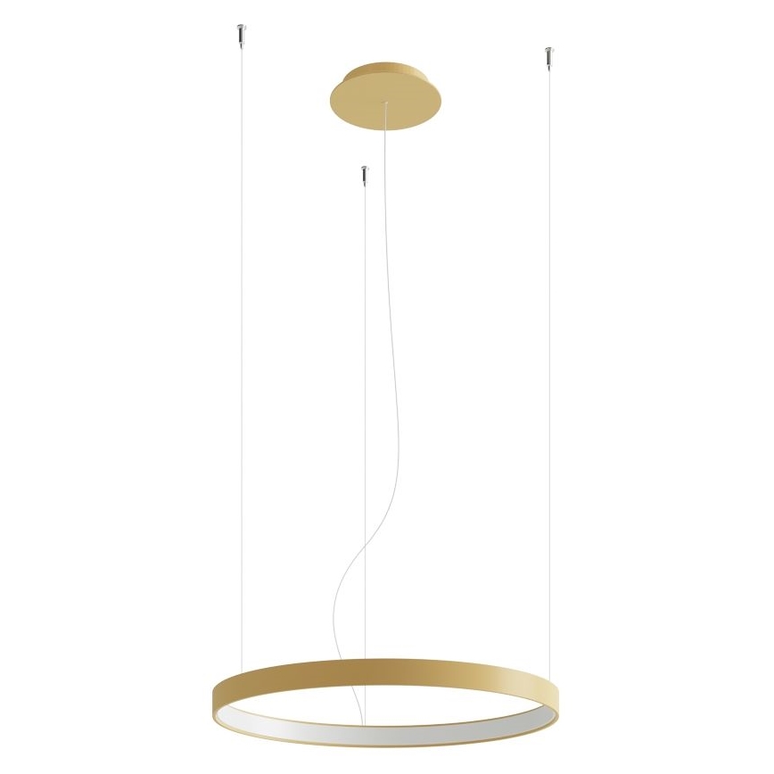 Thoro TH.216 - Lámpara LED colgante RIO LED/30W/230V CRI 90 3000K diá. 55 cm dorado