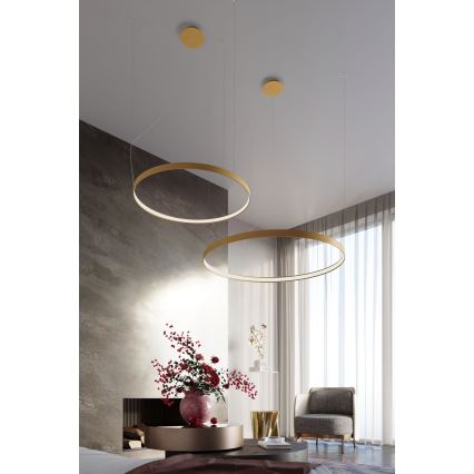 Thoro TH.217 - Lámpara LED colgante RIO LED/30W/230V CRI 95 4000K diá. 55 cm dorado