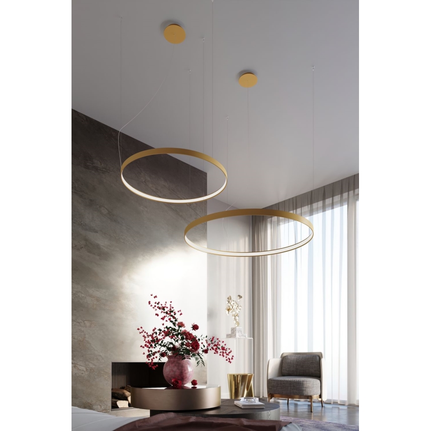 Thoro TH.217 - Lámpara LED colgante RIO LED/30W/230V CRI 95 4000K diá. 55 cm dorado