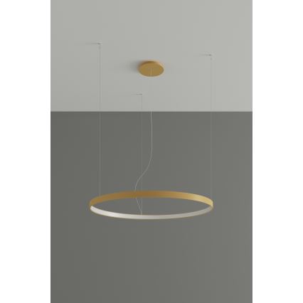 Thoro TH.217 - Lámpara LED colgante RIO LED/30W/230V CRI 95 4000K diá. 55 cm dorado