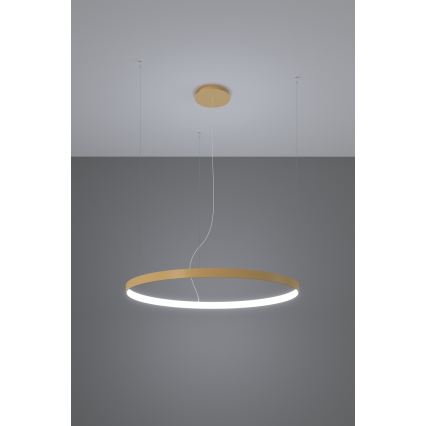 Thoro TH.217 - Lámpara LED colgante RIO LED/30W/230V CRI 95 4000K diá. 55 cm dorado