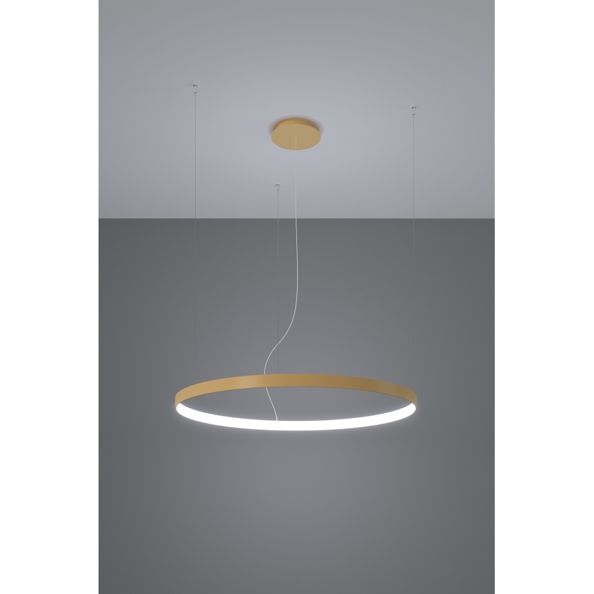 Thoro TH.217 - Lámpara LED colgante RIO LED/30W/230V CRI 95 4000K diá. 55 cm dorado