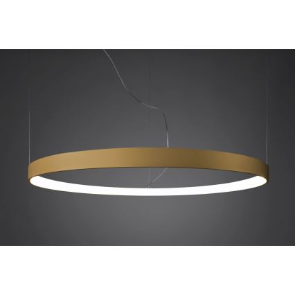 Thoro TH.217 - Lámpara LED colgante RIO LED/30W/230V CRI 95 4000K diá. 55 cm dorado