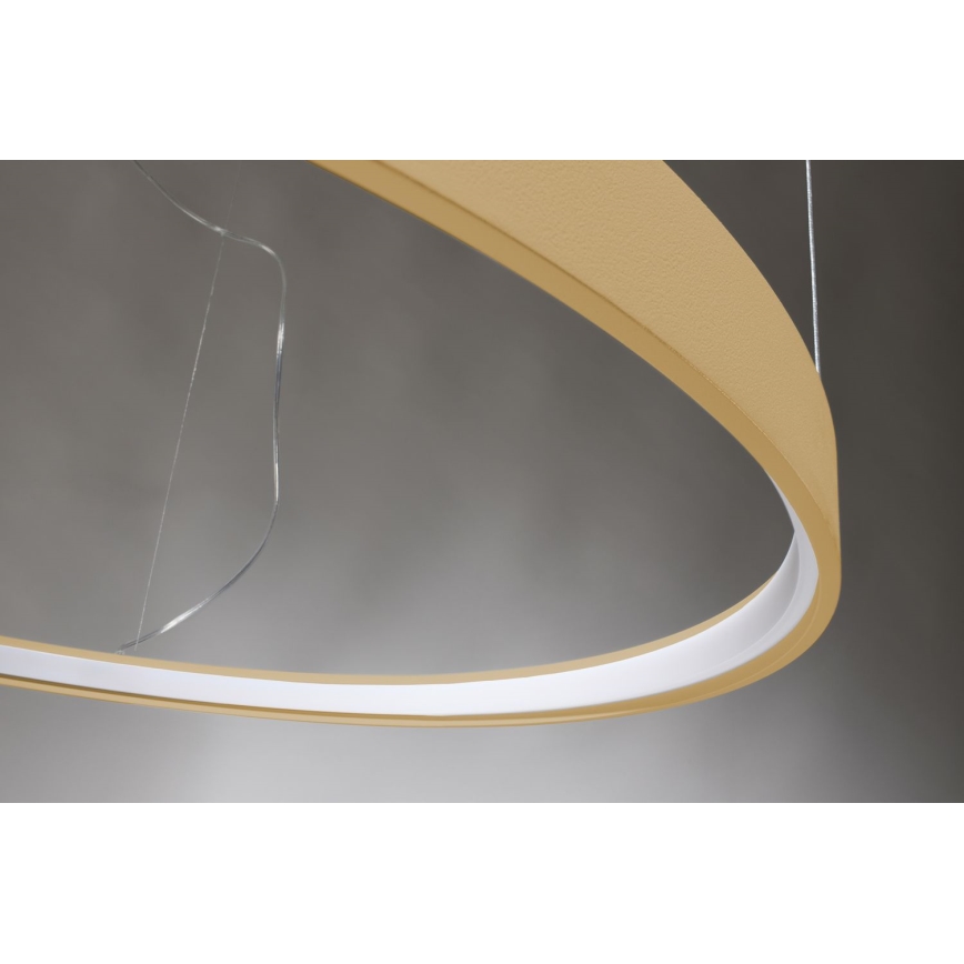 Thoro TH.217 - Lámpara LED colgante RIO LED/30W/230V CRI 95 4000K diá. 55 cm dorado