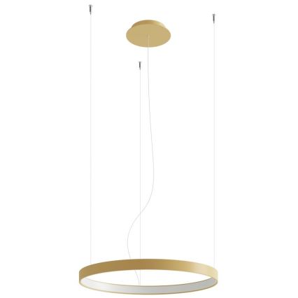 Thoro TH.217 - Lámpara LED colgante RIO LED/30W/230V CRI 95 4000K diá. 55 cm dorado