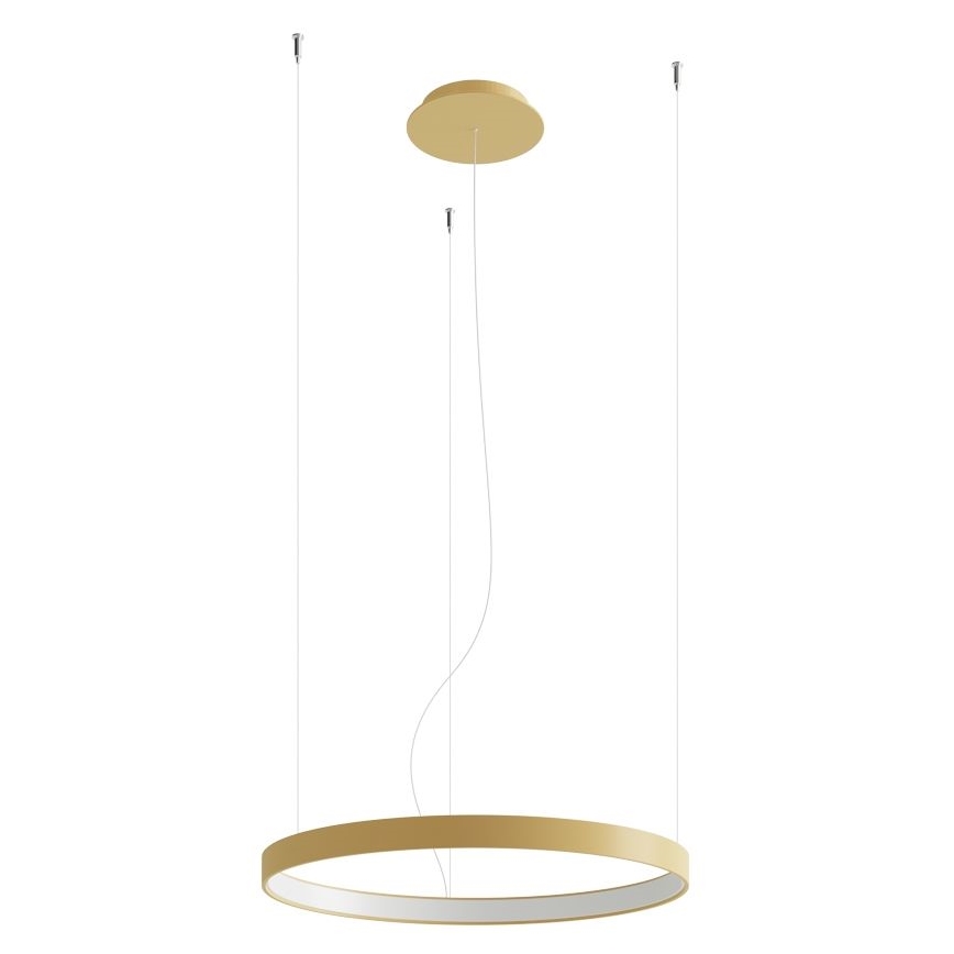 Thoro TH.217 - Lámpara LED colgante RIO LED/30W/230V CRI 95 4000K diá. 55 cm dorado