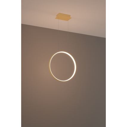 Thoro TH.220 - Lámpara LED colgante RIO LED/30W/230V CRI 90 3000K diá. 55 cm dorado